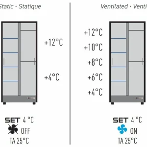 Sortie 😍 CALICE DESIGN Combiné encastrable de 2 vitrines réfrigérées professionnelles pour vins, charcuteries et fromages – Façade incurvée 🔥 destockage 15